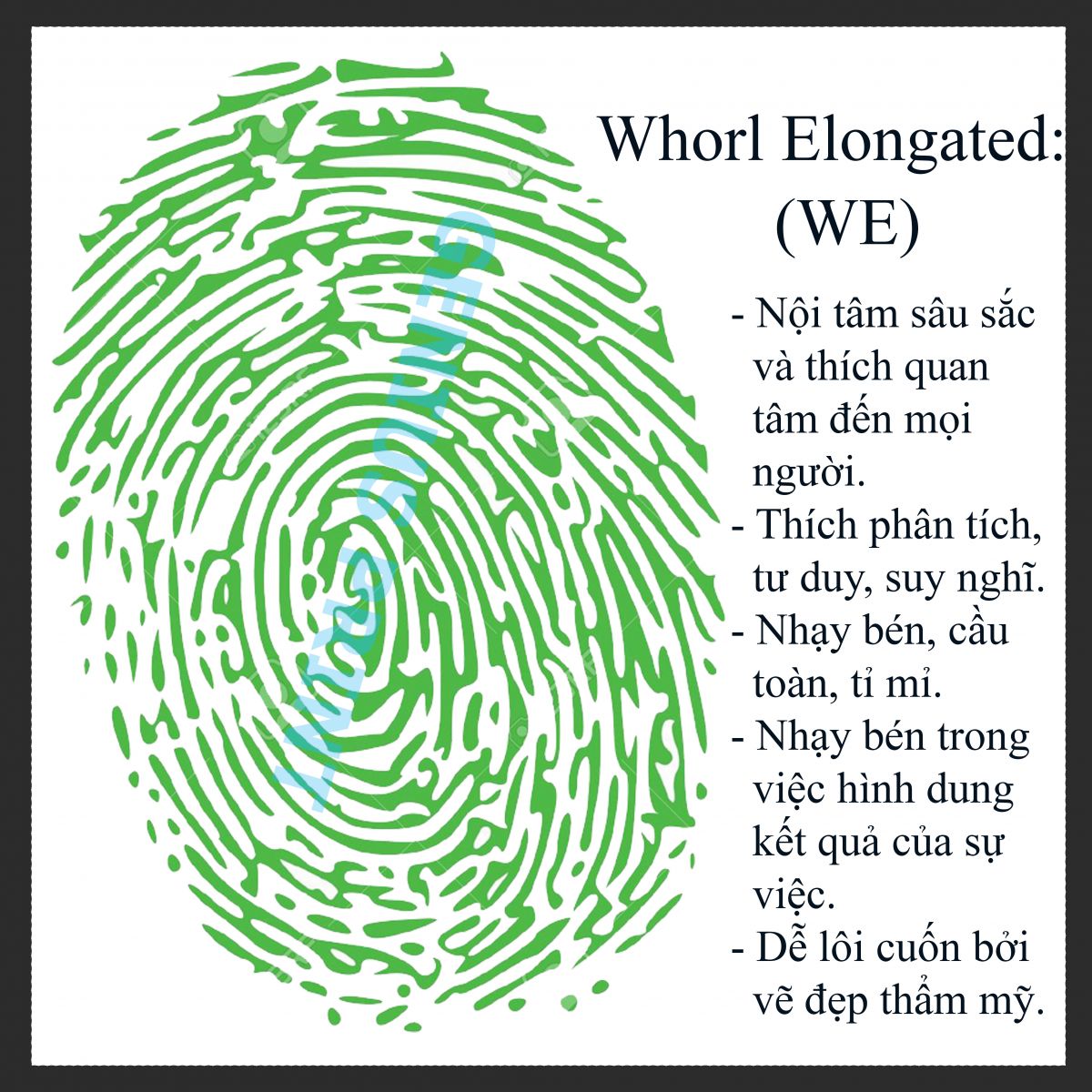 chủng vân tay whorl elongated