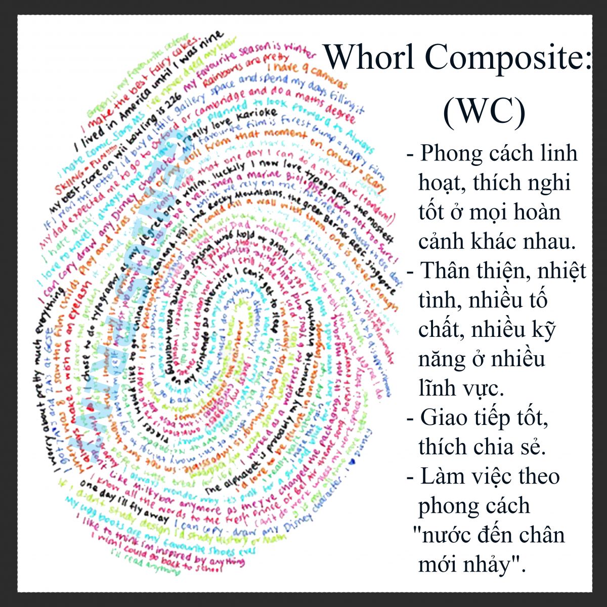 chủng vân tay whorl composite