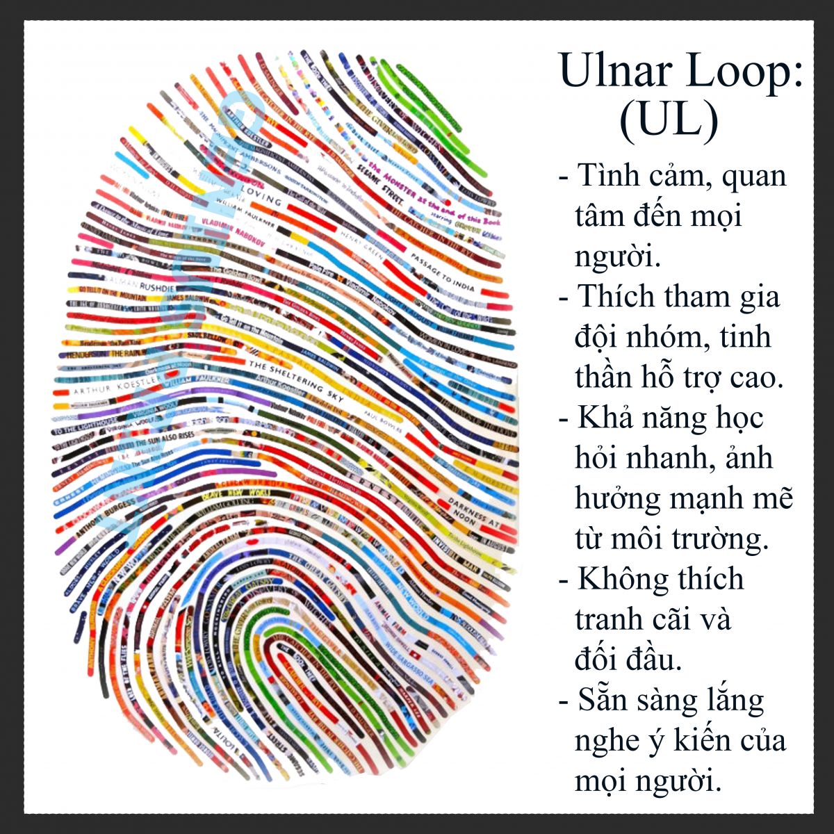 chủng vân tay ulnar loop
