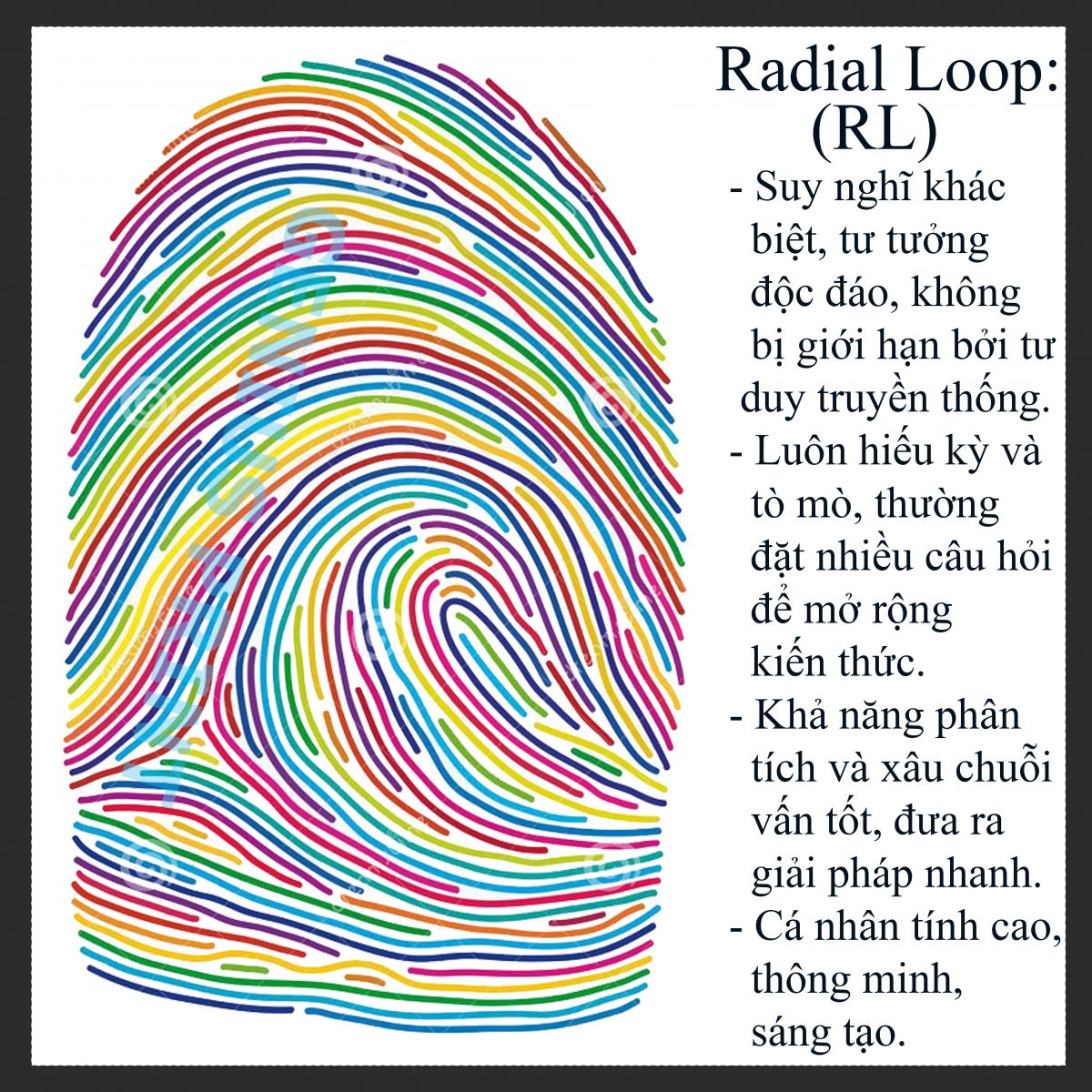 chủng vân tay radial loop